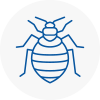 Bed Bug Extermination In Castle Bromwich