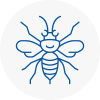 Castle Bromwich Hornet Nest Removals
