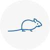 Mice Exterminators In Castle Bromwich