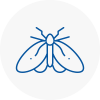 Moth Control Specialists In Castle Bromwich