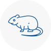 Rat Control Castle Bromwich