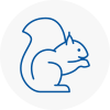 Castle Bromwich Rodent Removals